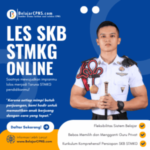 Les SKB STMKG Online